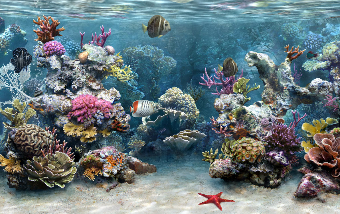 Images Fond D'aquarium A Imprimer Gratuit A4